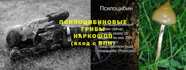 ALPHA-PVP Алексеевка