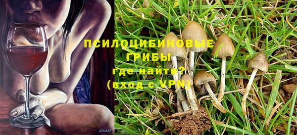 ALPHA-PVP Алексеевка