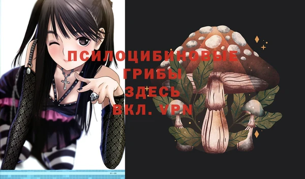 ALPHA-PVP Алексеевка