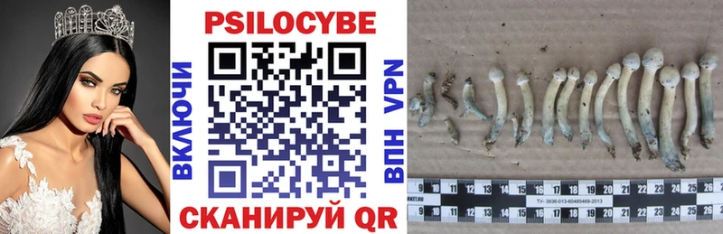 Галлюциногенные грибы мицелий купить Кемь